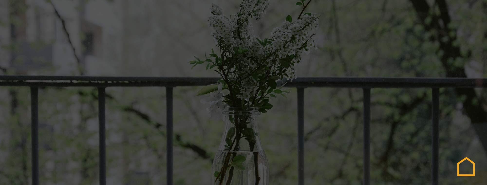 Blog Image 16091