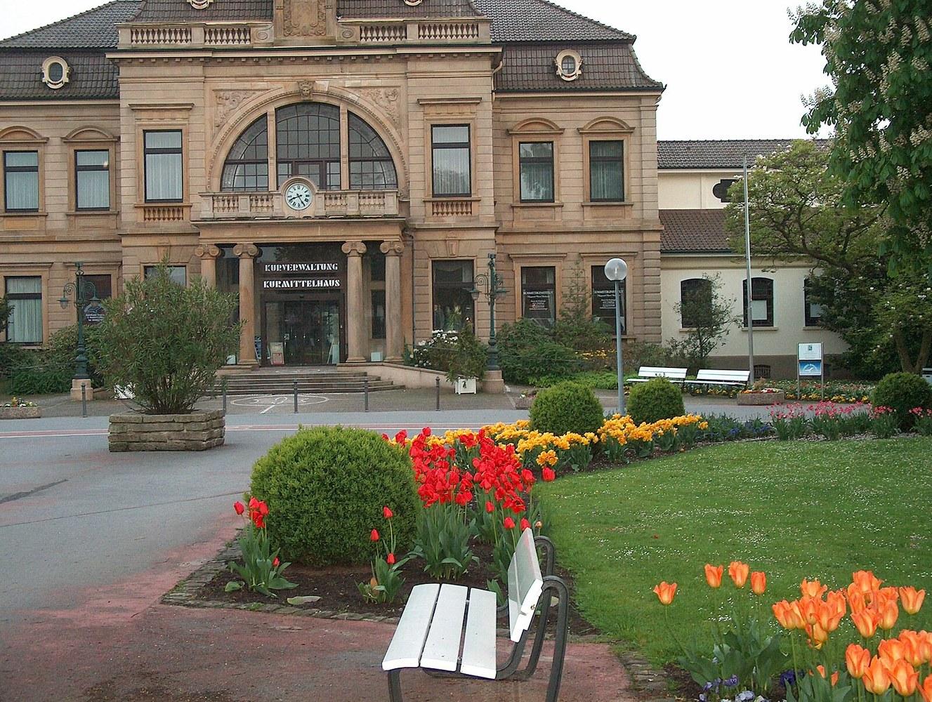 Panoramablick über Bad Rothenfelde – Rathaus und Landschaft