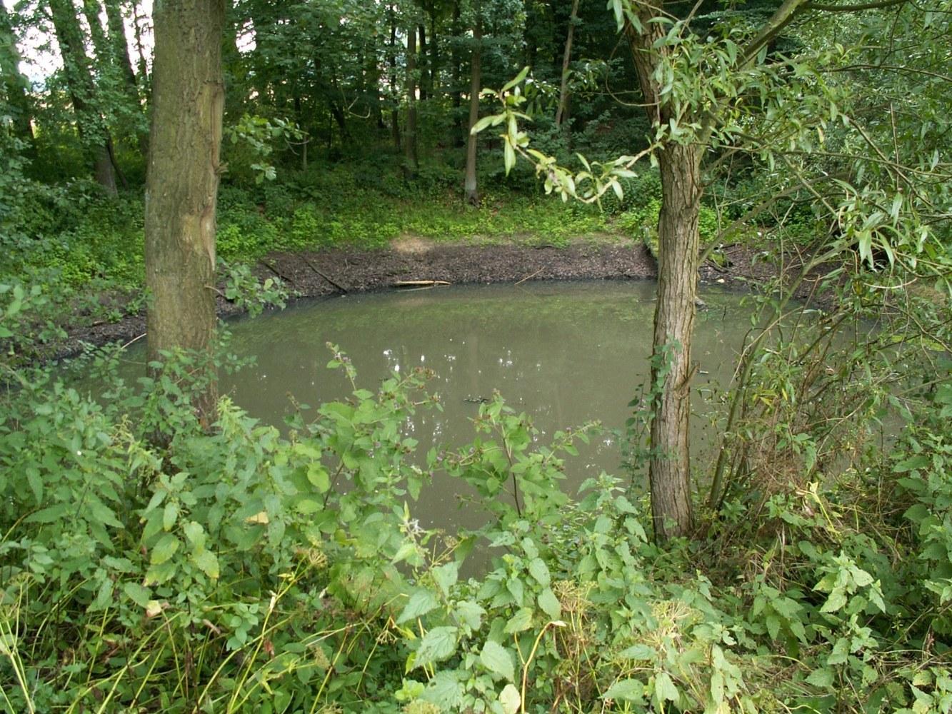 Panoramablick über Belm – Rathaus und grüne Landschaft