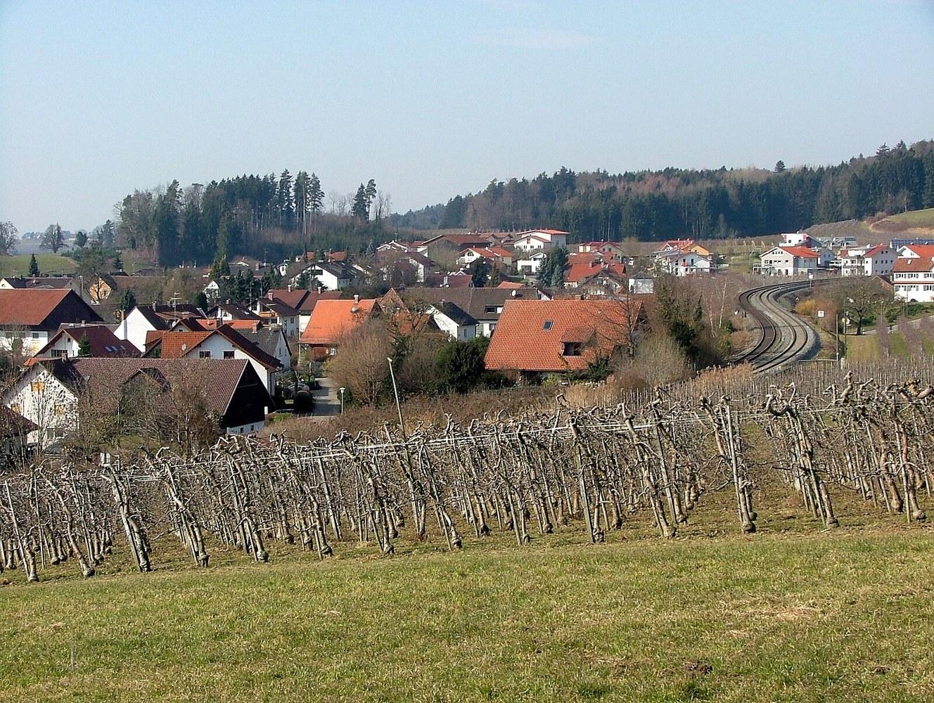 Panoramablick über Bodolz – Rathaus, Maschsee und Skyline