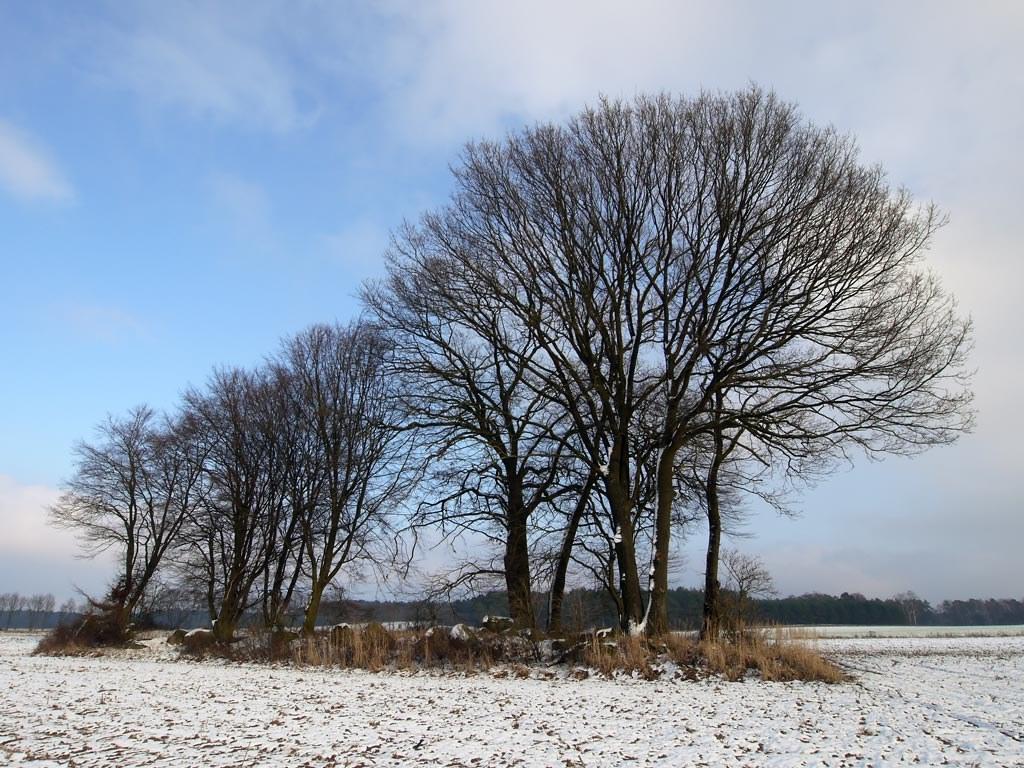Panoramablick über Boitze – Rathaus, Maschsee und Skyline