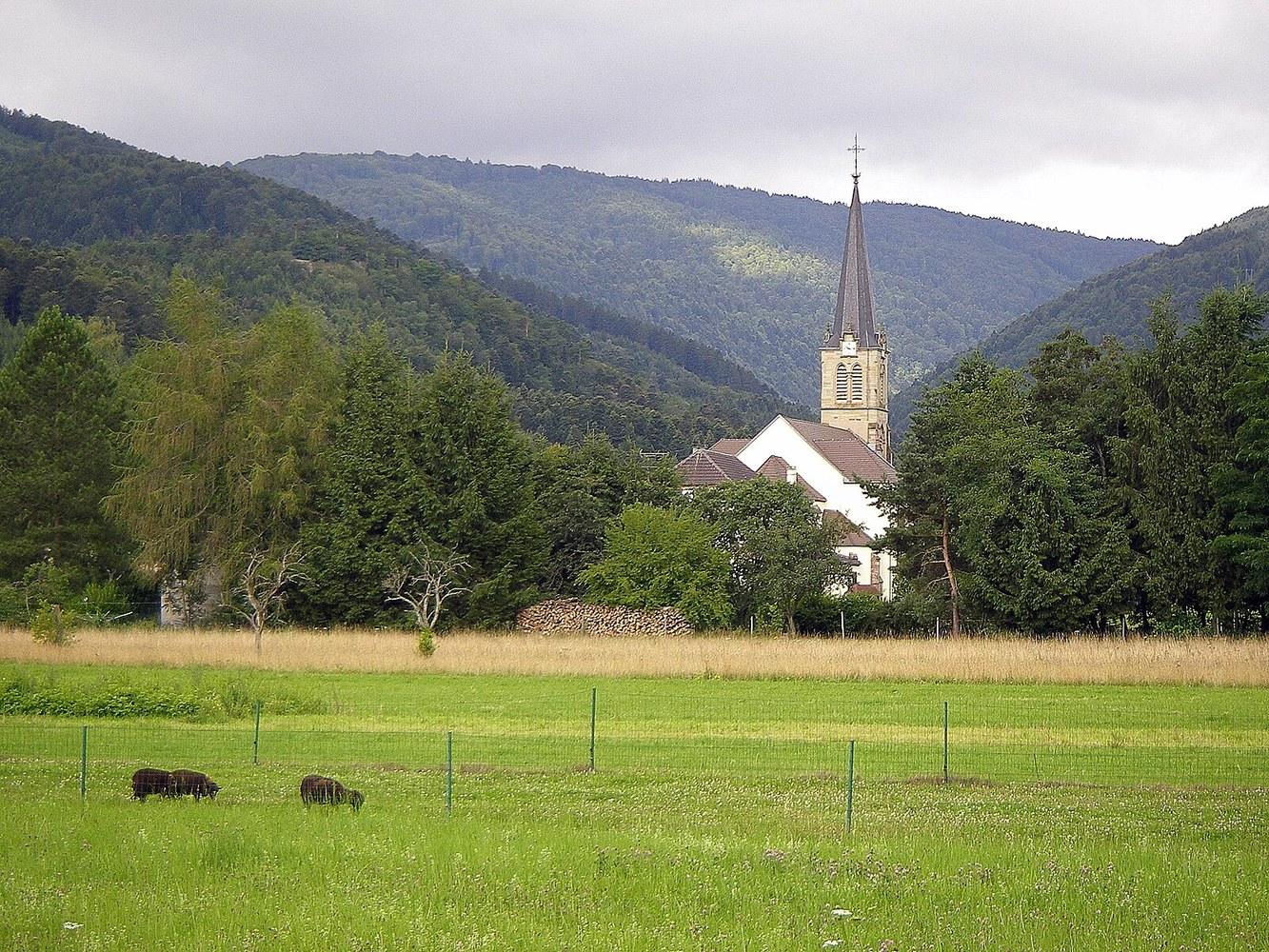 Panoramablick über Dollern – Rathaus und Natur