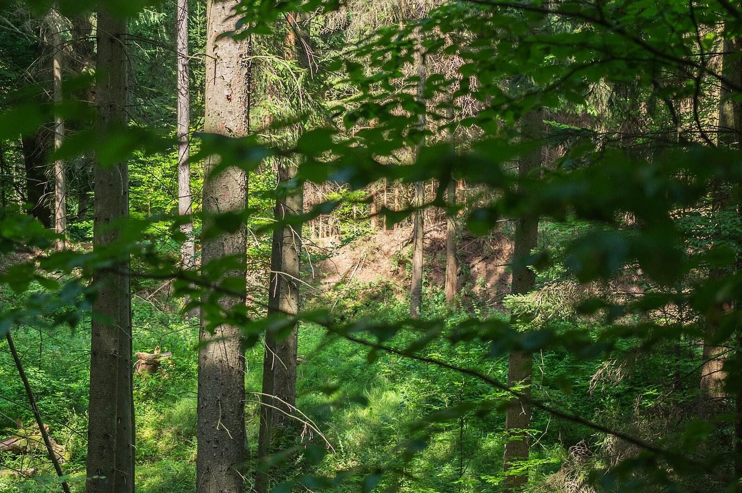 Panoramablick über Esterholz – Rathaus, Maschsee und Skyline