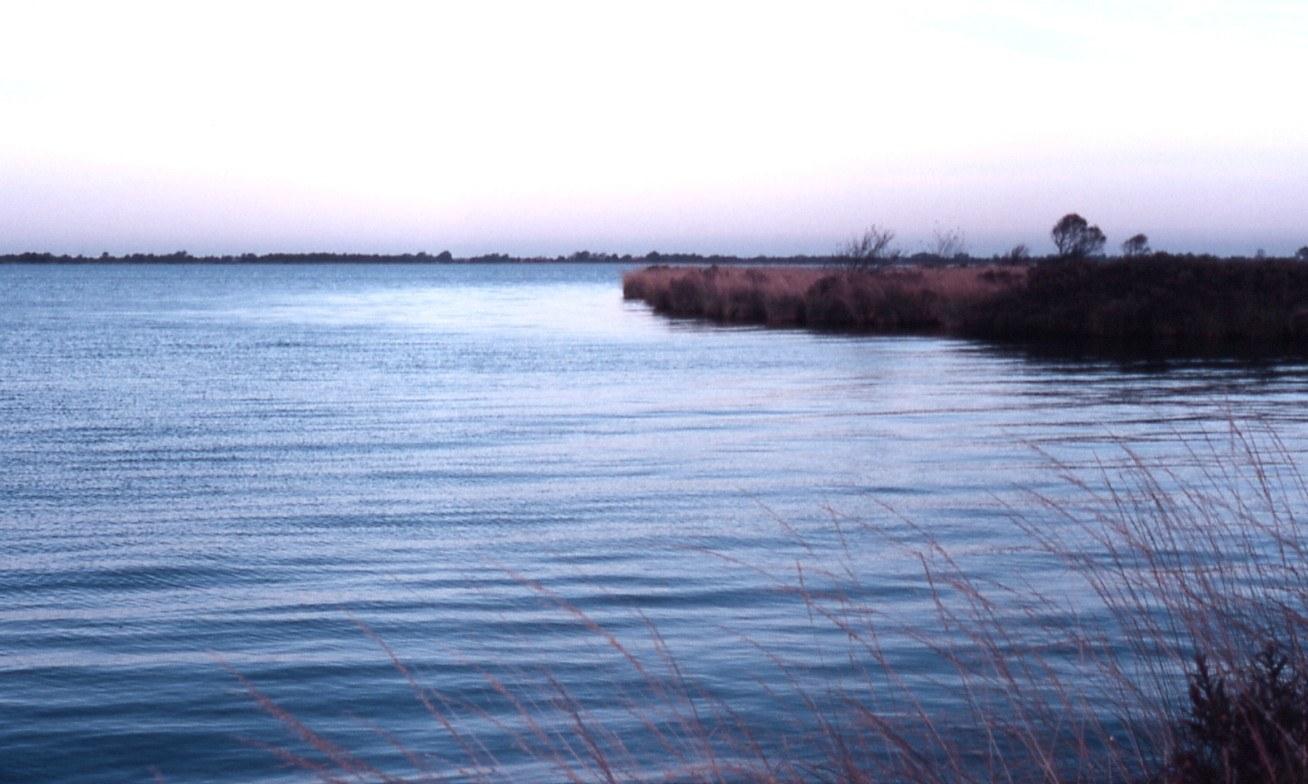 Panoramablick über Eversmeer – Rathaus, Maschsee und Skyline