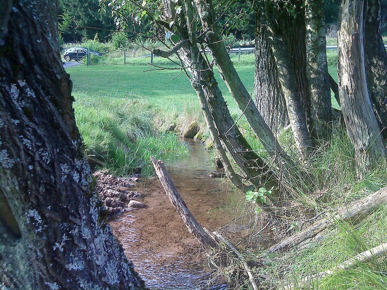 Panoramablick über Fellen – Rathaus, Maschsee und Skyline