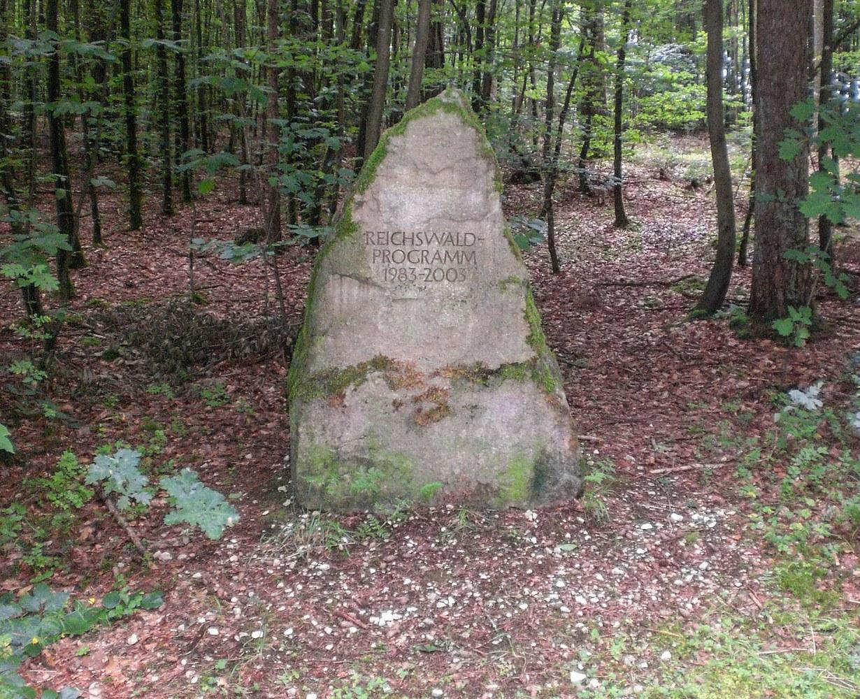 Panoramablick über Feuchter Forst – Rathaus, Maschsee und Skyline