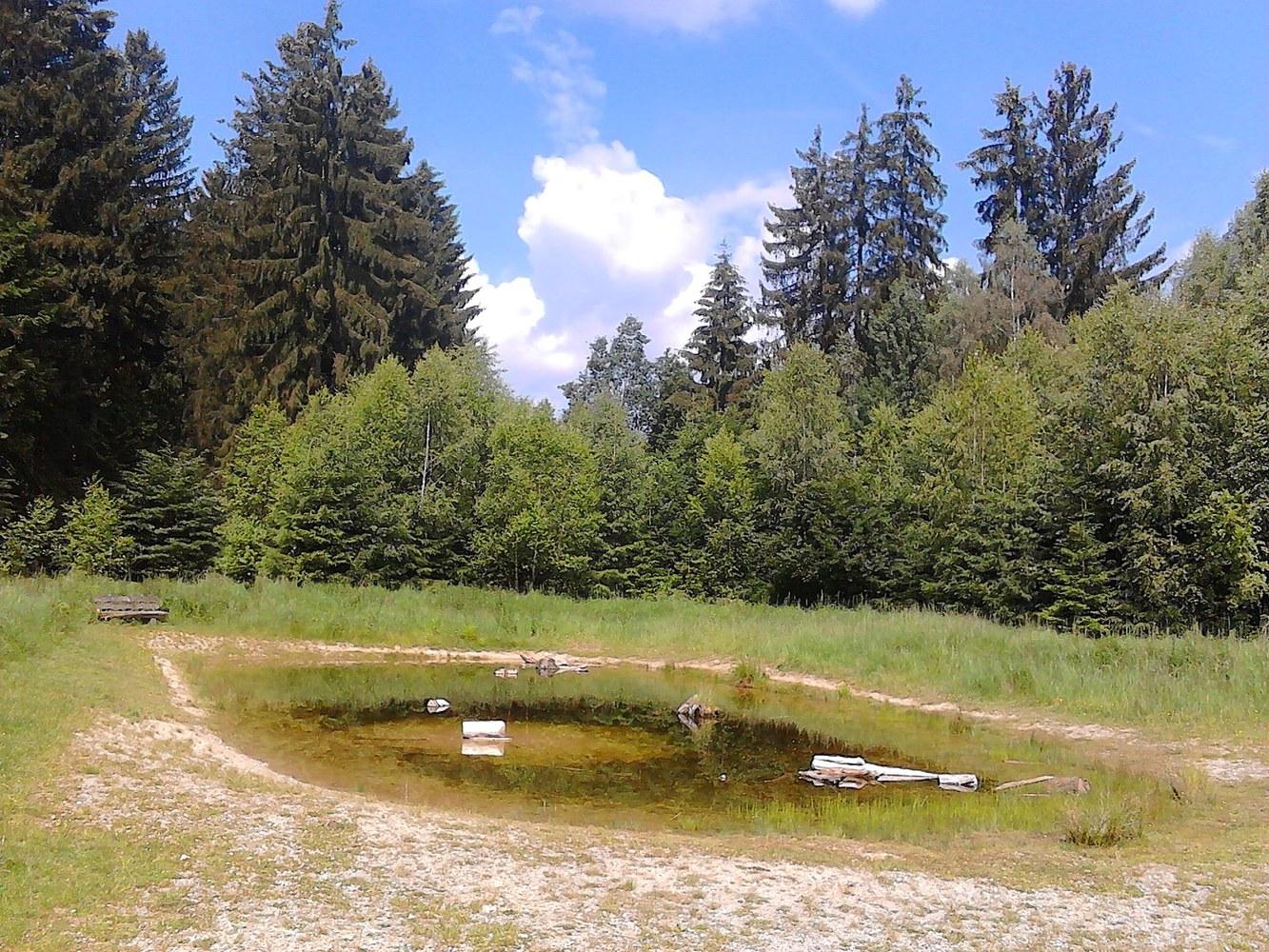 Panoramablick über Forstenrieder Park – Rathaus, Maschsee und Skyline