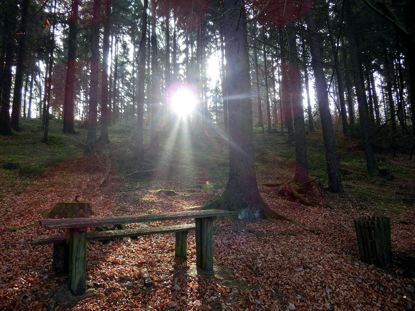 Panoramablick über Glashüttener Forst – Rathaus, Maschsee und Skyline
