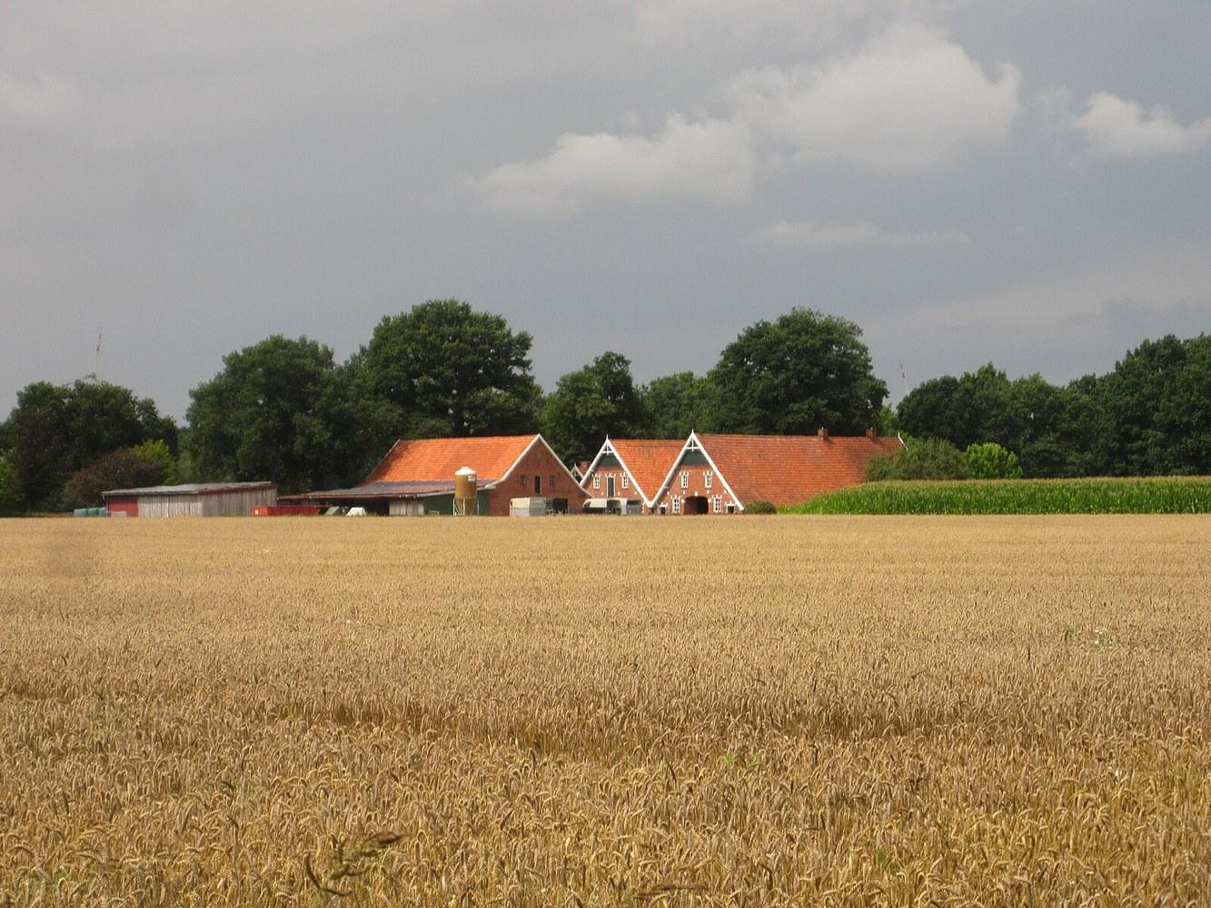 Panoramablick über Goelenkamp – Rathaus, Maschsee und Skyline