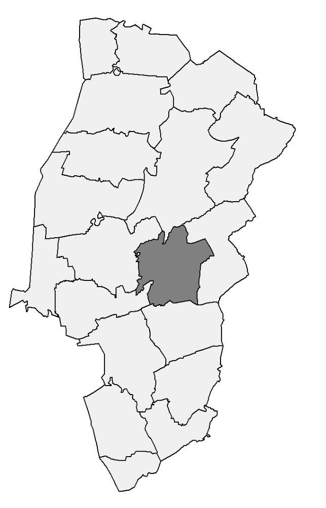 Panoramablick über Haselünne – Rathaus, Maschsee und Skyline