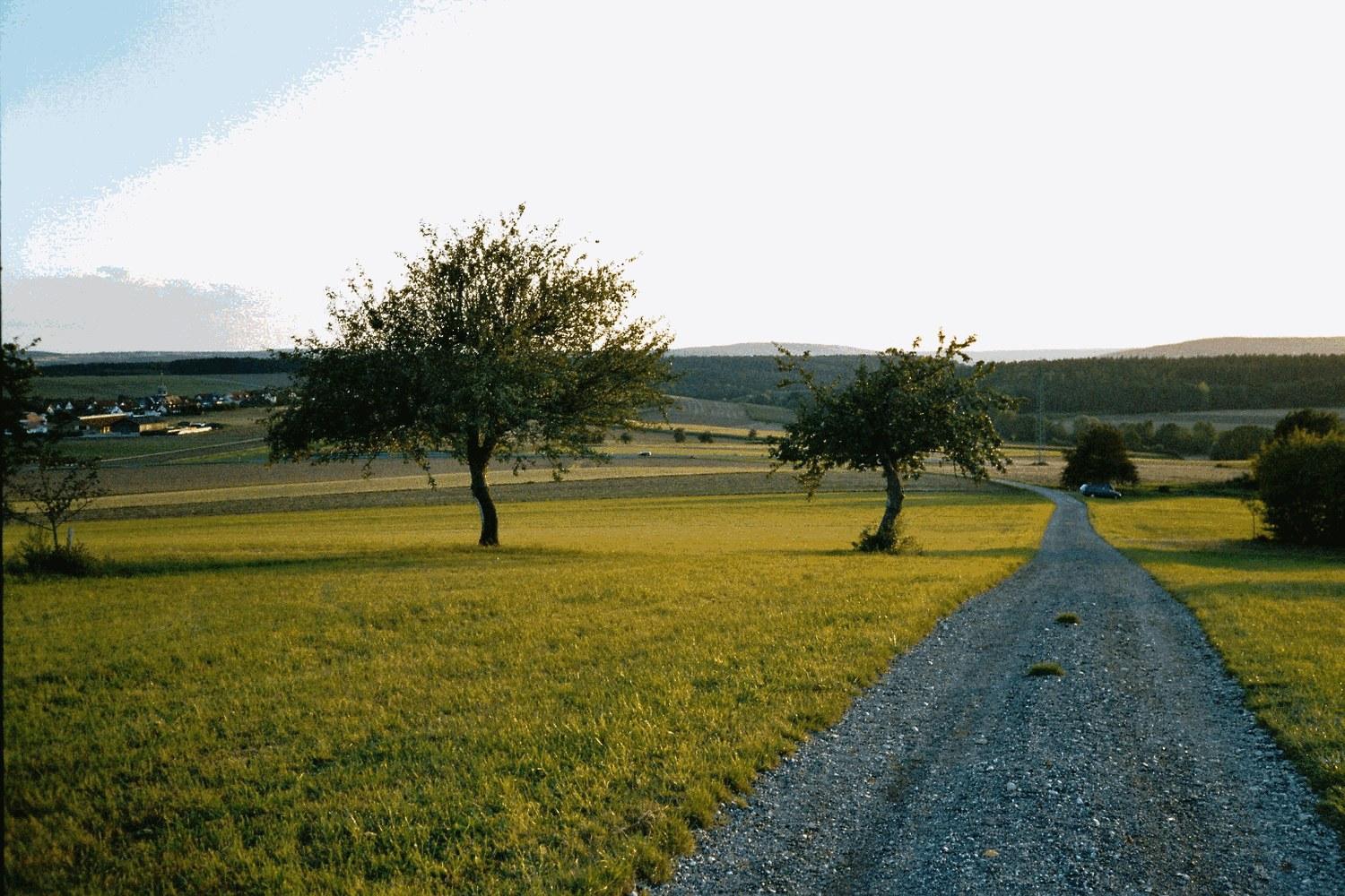 Panoramablick über Hauptsmoor – Rathaus, Maschsee und Skyline