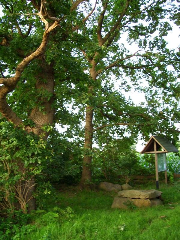 Panoramablick über Heinbockel – Rathaus, Maschsee und Skyline