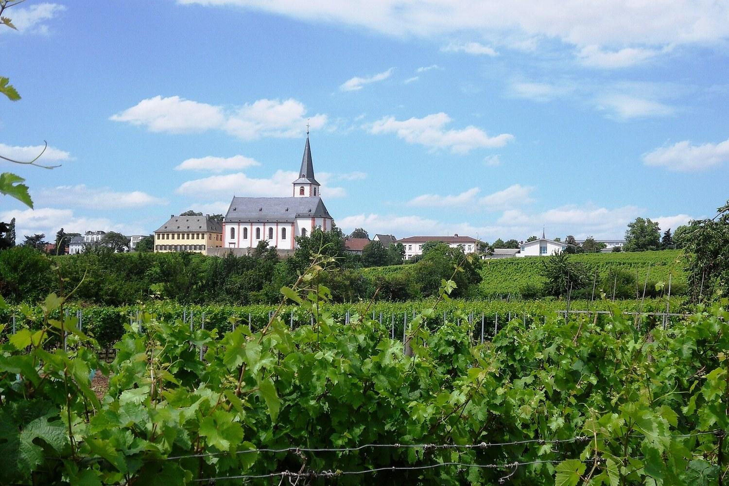 Panoramablick über Höchheim – Rathaus, Maschsee und Skyline