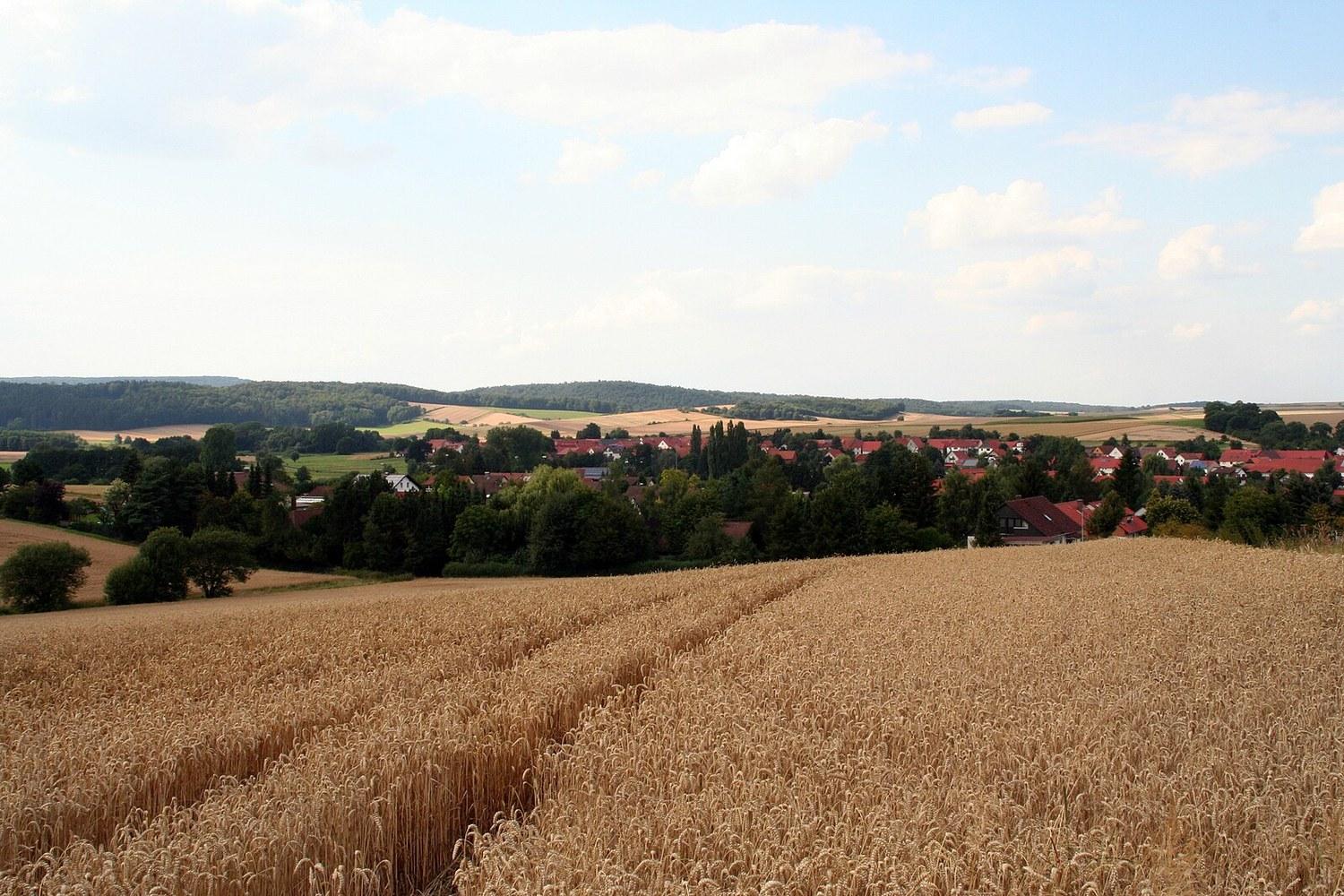 Panoramablick über Landolfshausen – Rathaus und Natur
