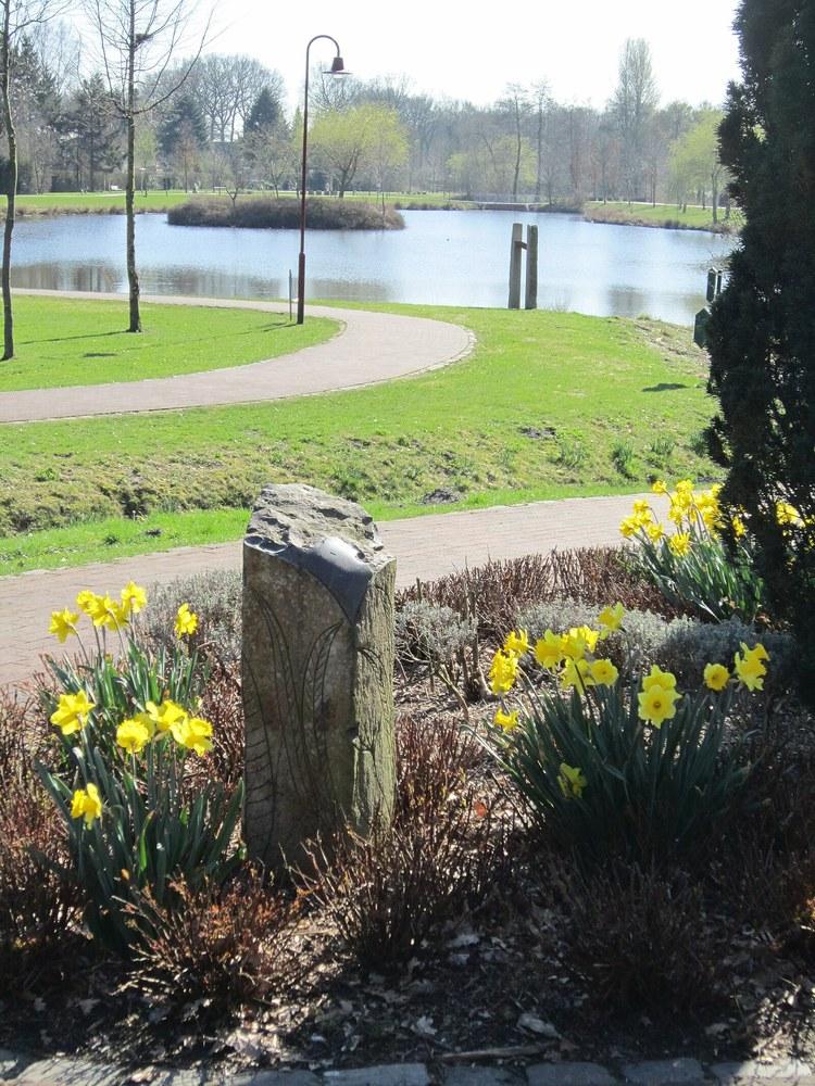 Panoramablick über Lastrup – Rathaus und Natur