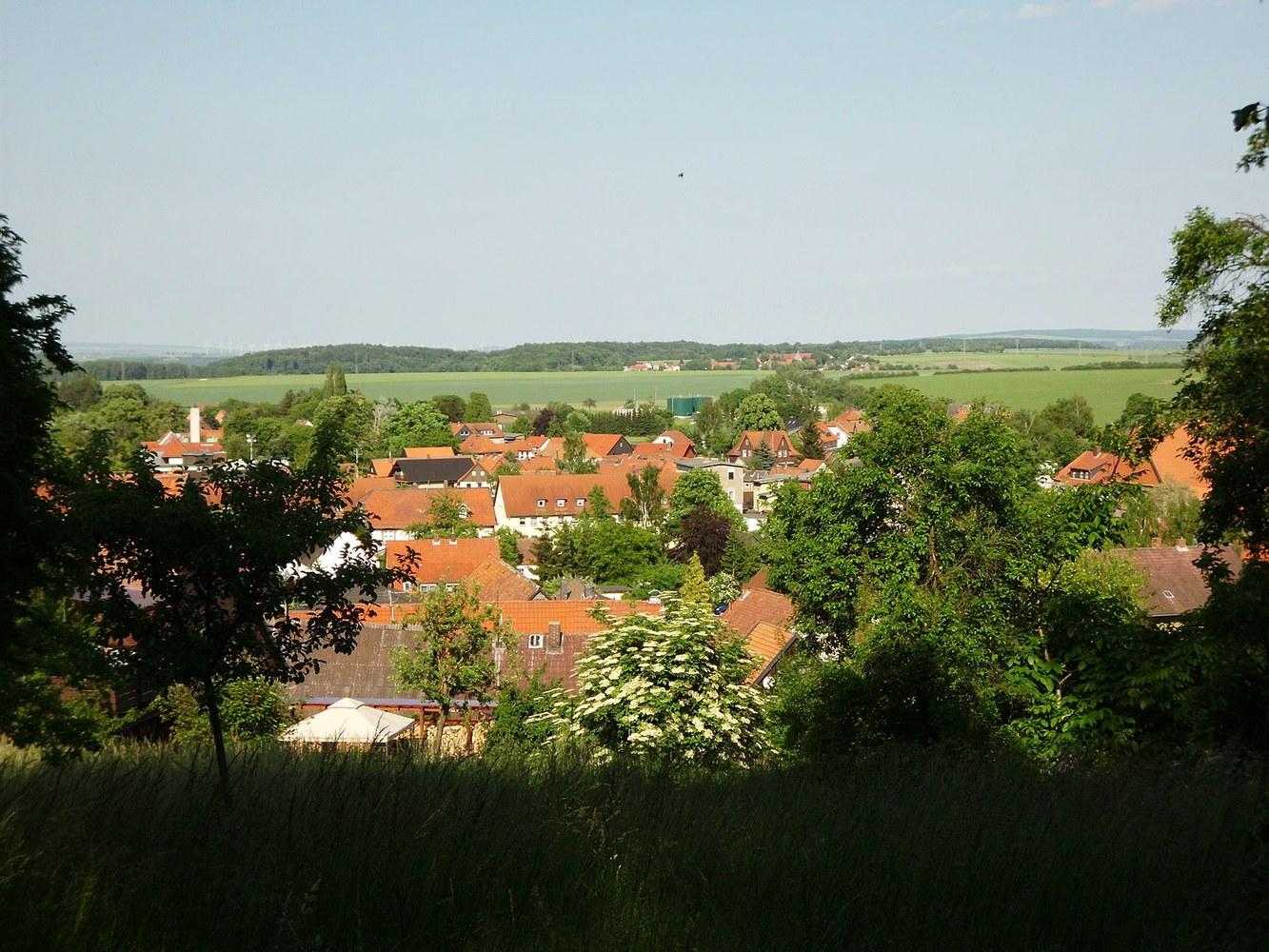 Panoramablick über Liebenburg – Rathaus und Landschaft