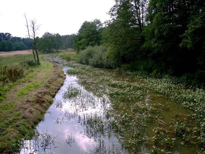 Panoramablick über Vollersode – Rathaus und Umgebung