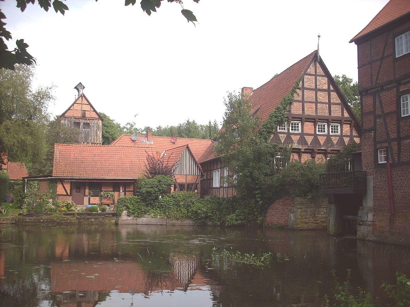 Panoramablick über Wienhausen – Rathaus und Natur