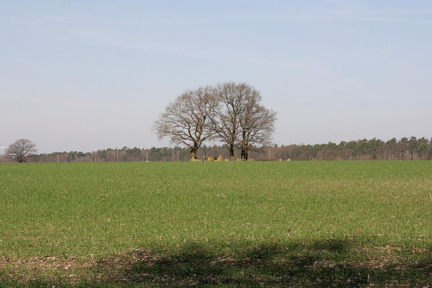 Panoramablick über Wrestedt – Rathaus und Landschaft