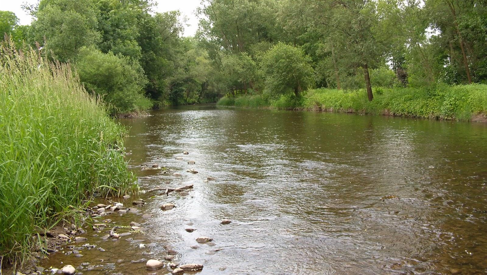 Panoramablick über Wulften am Harz – Rathaus und Landschaft