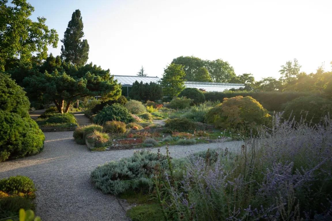 Der Berggarten in Hannover: Entdecken Sie die Fauna warmer Zonen
