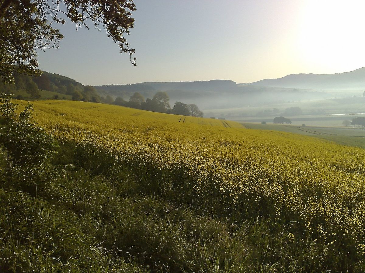 Geschichte Brevoerde