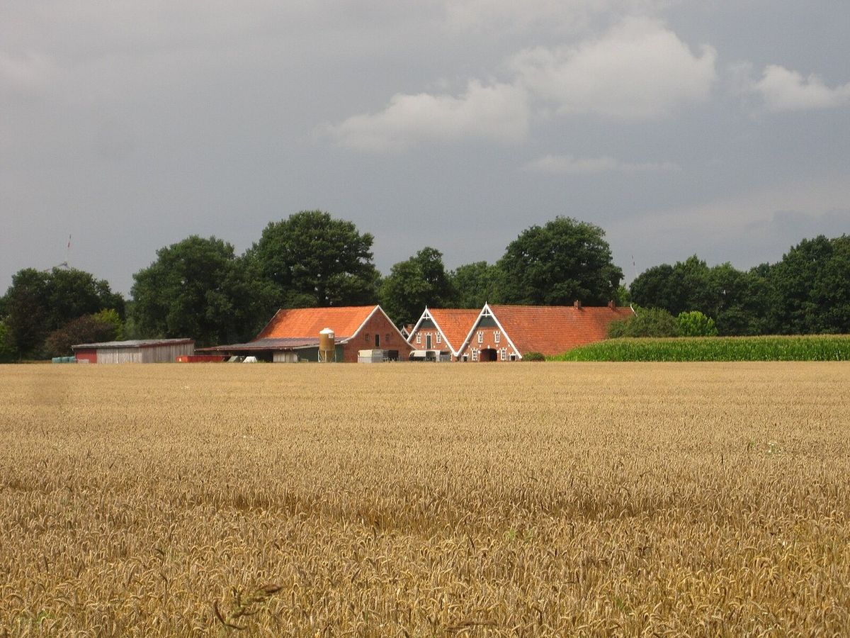 Geschichte Goelenkamp