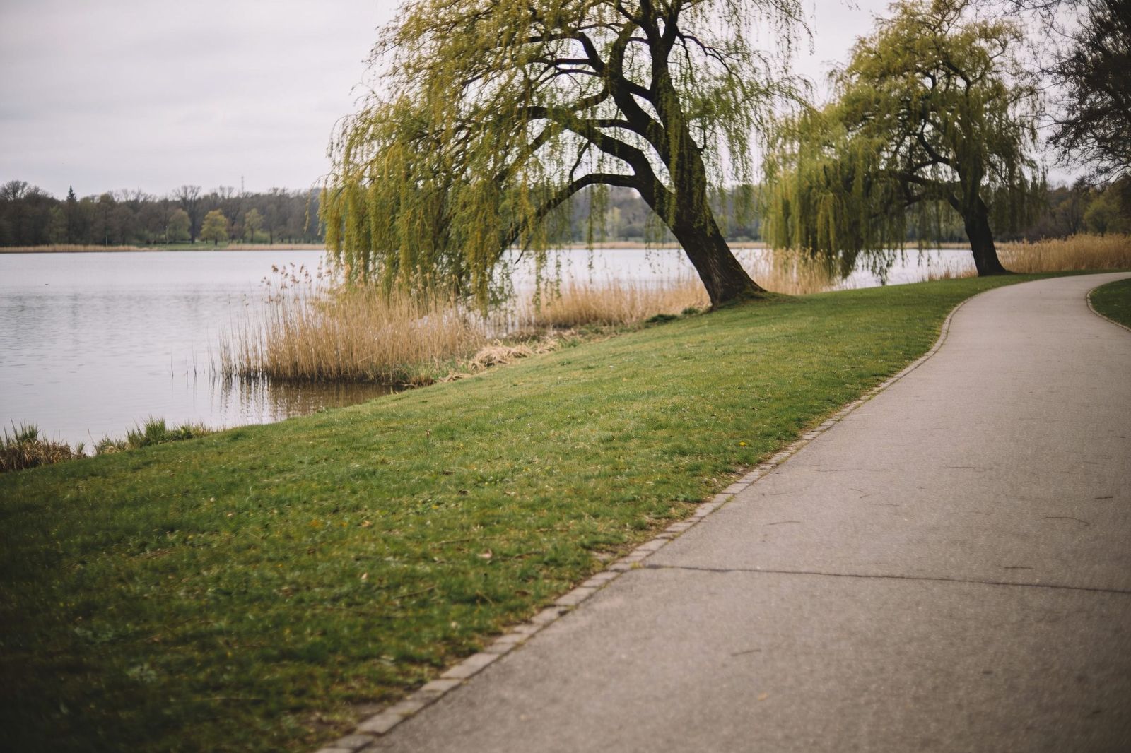 Stadtpark am Seeufer