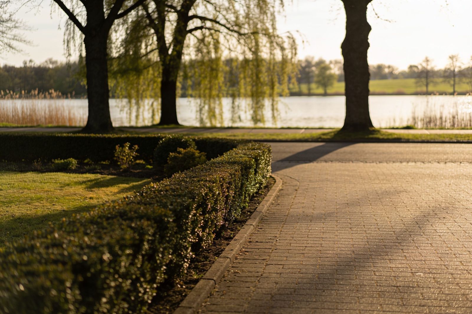 Stadtpark am Seeufer