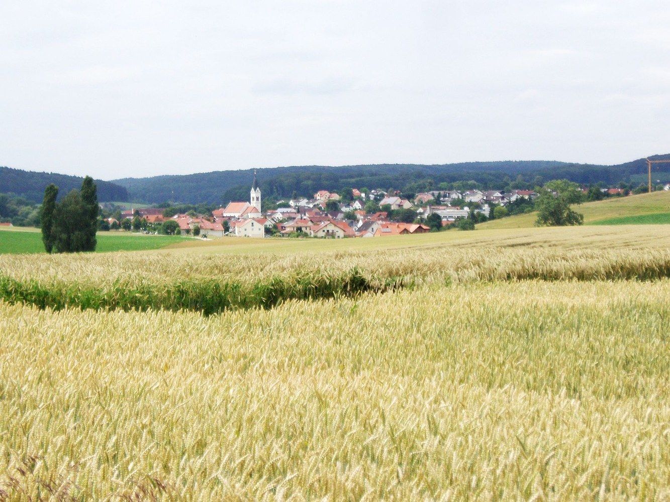 Moderne Immobilien