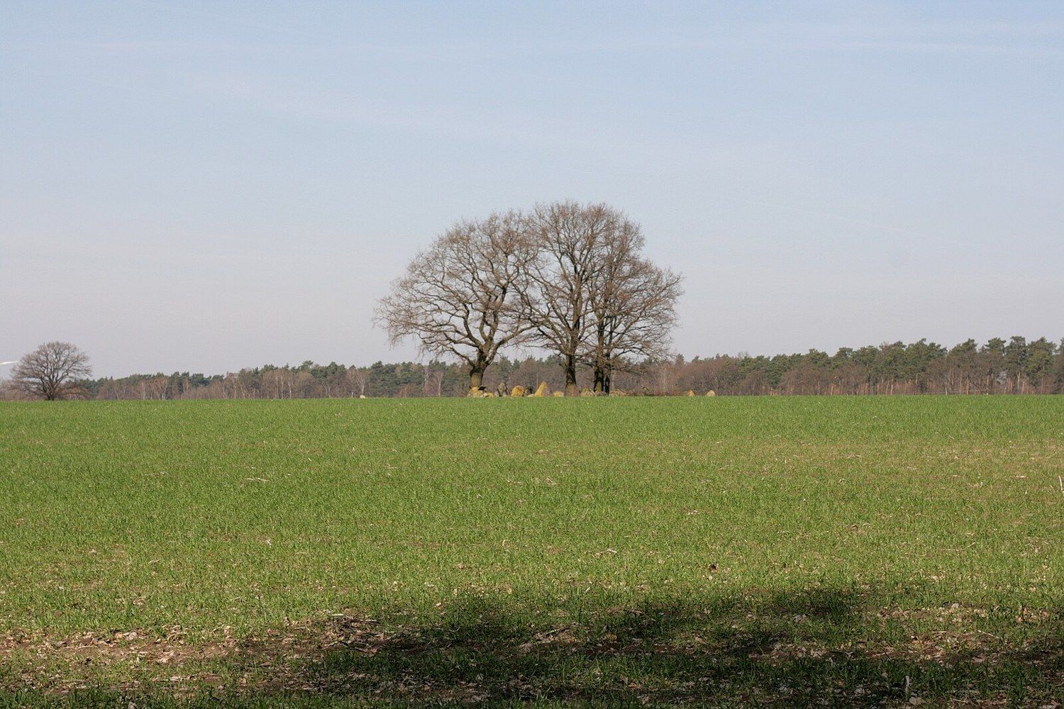Panoramablick über Wrestedt – Rathaus und Landschaft