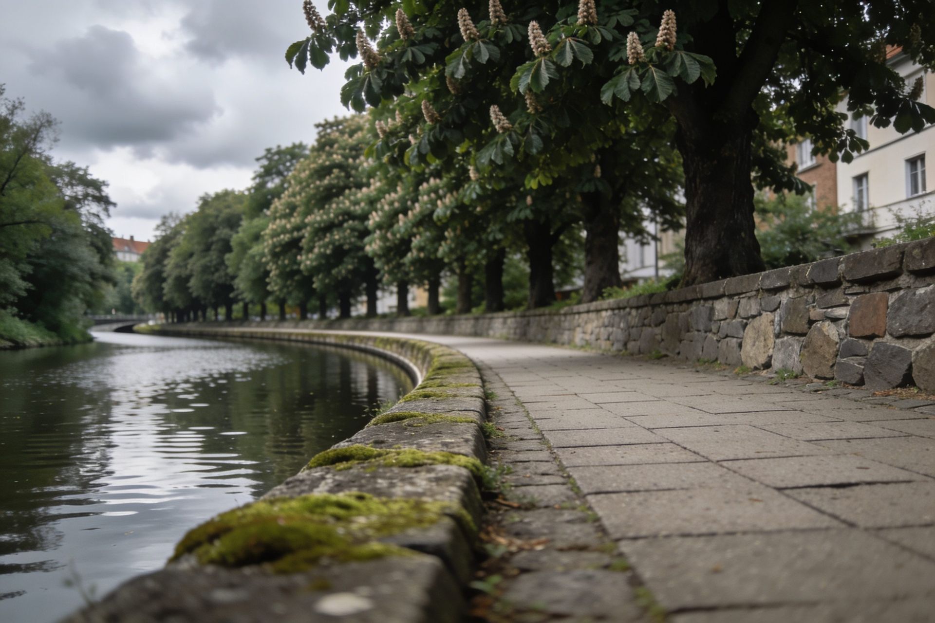 Baumbestandene Uferpromenade