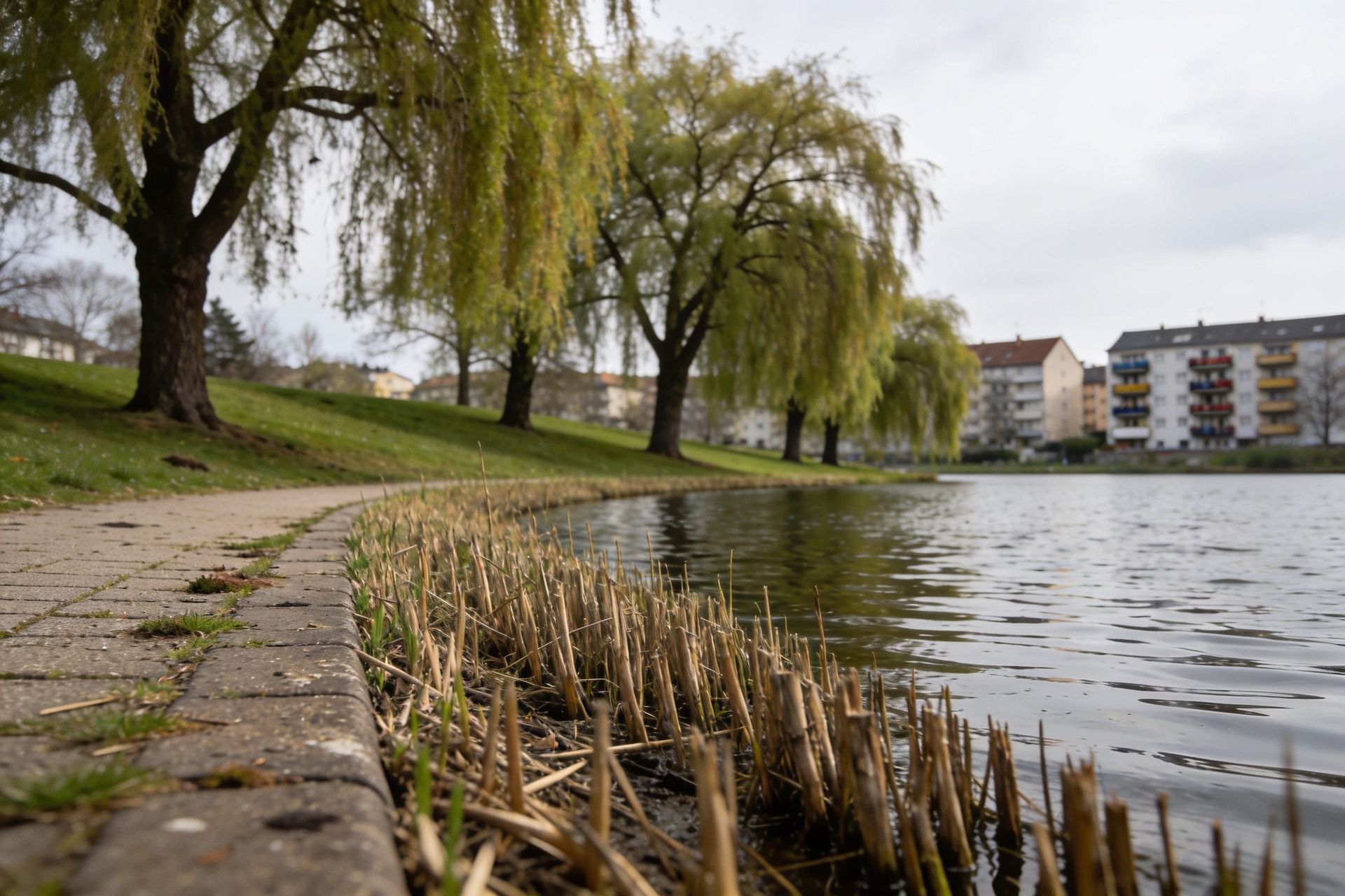 Stadtpark am Seeufer