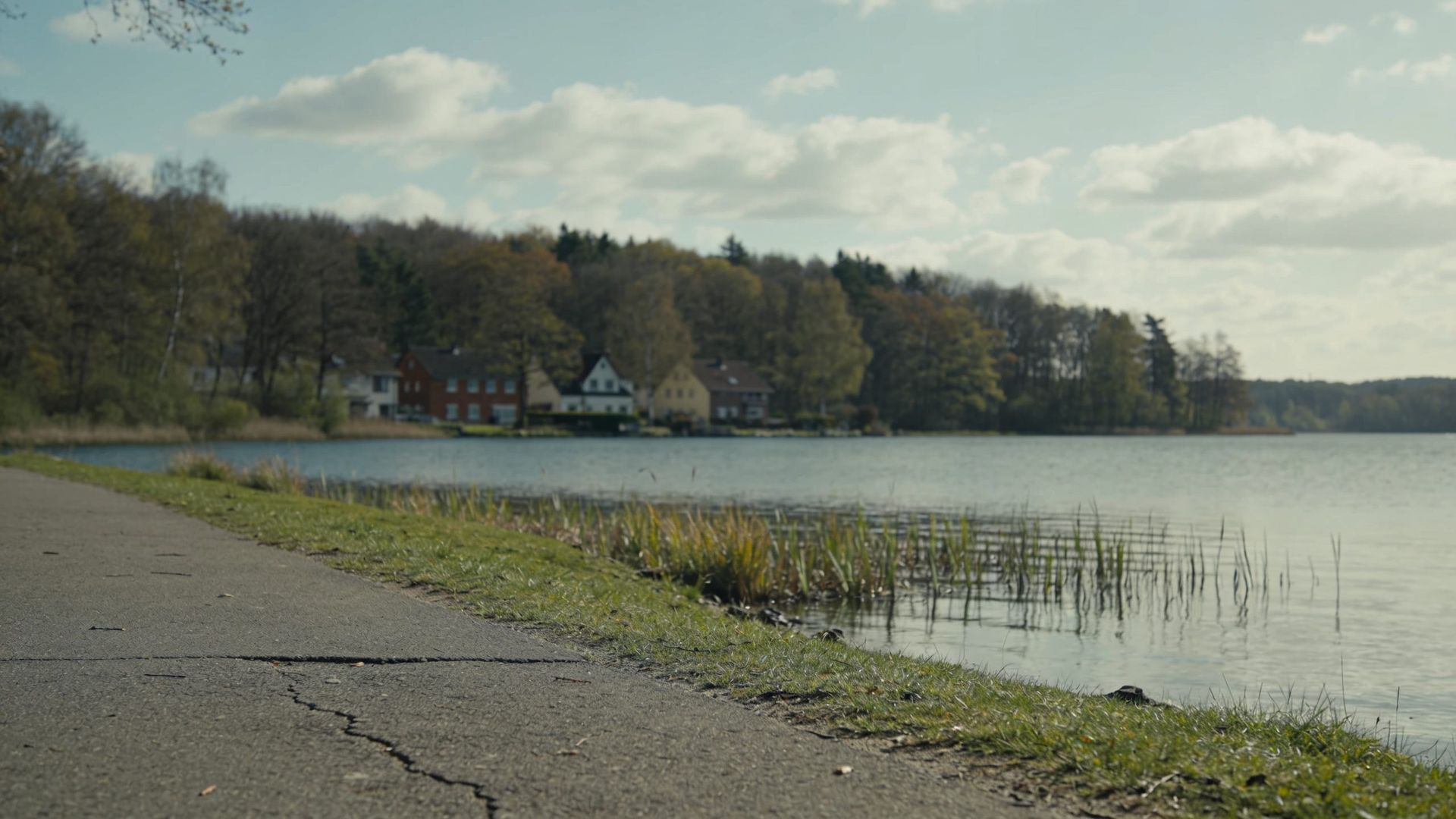 Uferkante am See mit Schilf und Uferweg