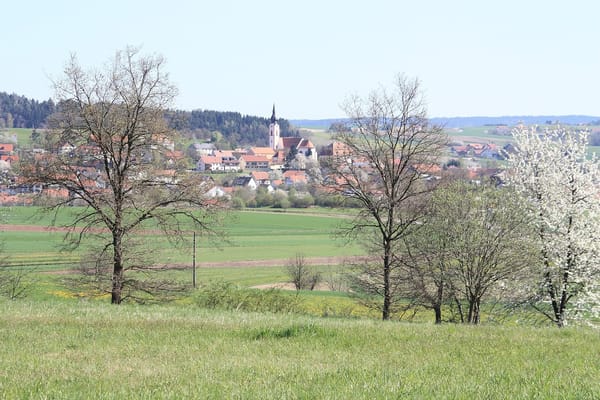 Altenthann – Wikimedia Commons (Wikidata P18)