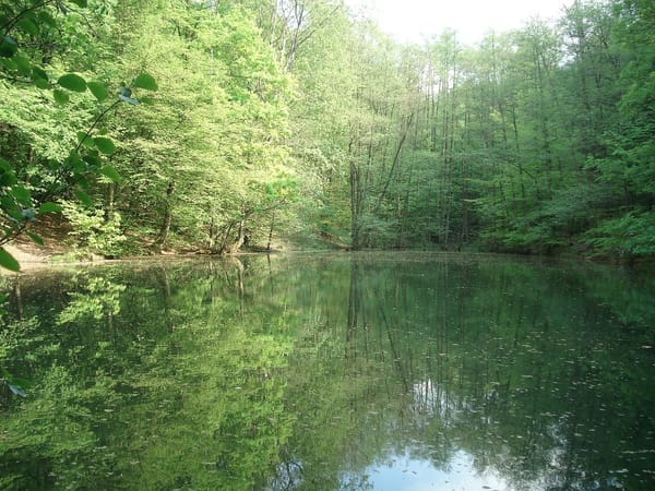 Bessenbach – Wikimedia Commons (Wikidata P18)