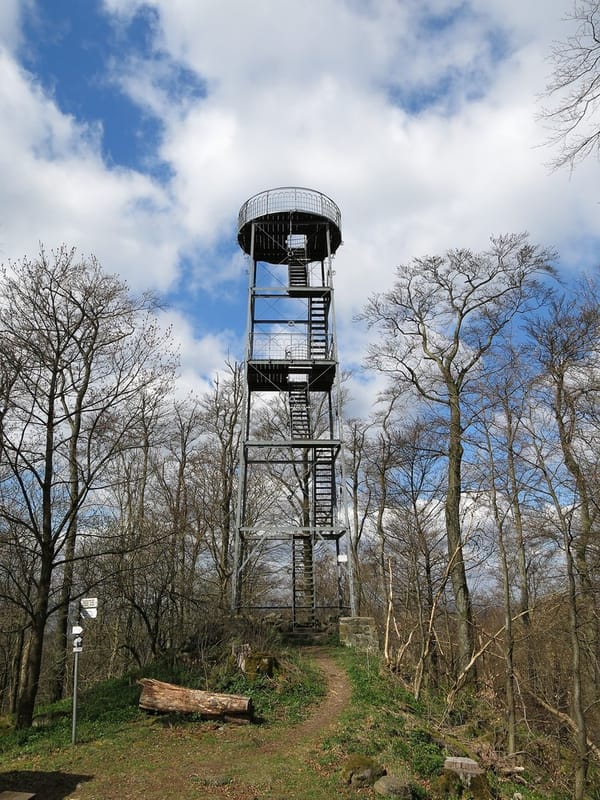 Dreistelzer Forst – Wikimedia Commons (Wikidata P18)