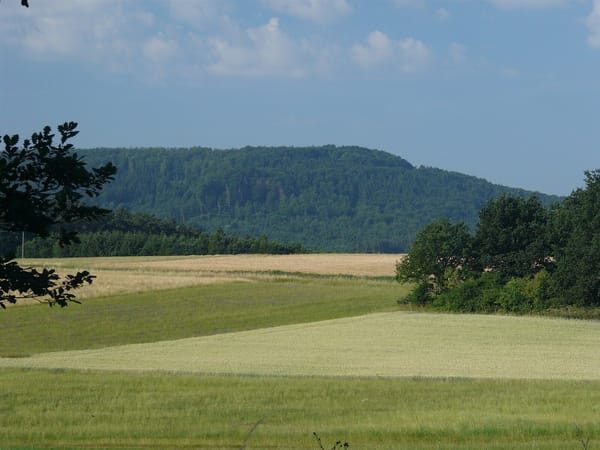 Engelthaler Forst – Wikimedia Commons (Wikidata P18)