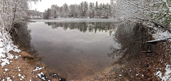 Forst Kleinschwarzenlohe – Wikimedia Commons (Wikidata P18)