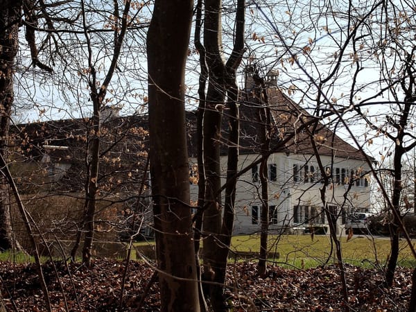 Greifenberg – Wikimedia Commons (Wikidata P18)