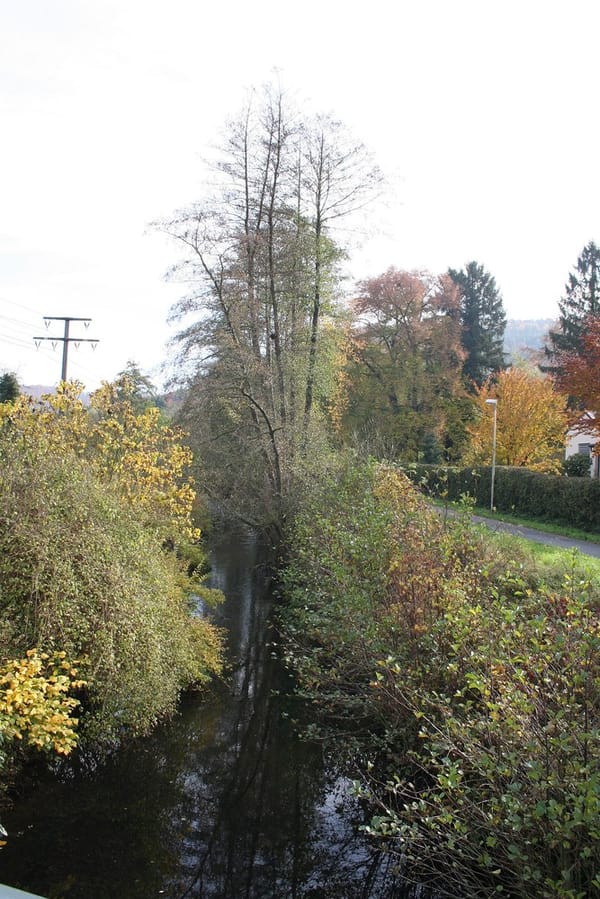 Heimbuchenthal – Wikimedia Commons (Wikidata P18)