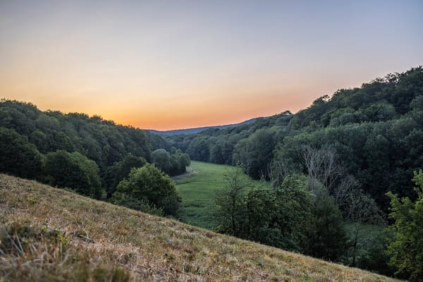 Hundelshausen – Wikimedia Commons (Wikidata P18)
