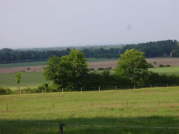 Kälberberg – Wikimedia Commons (Wikidata P18)