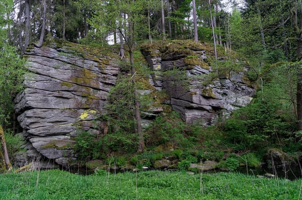 Kaiserhammer Forst-Ost – Wikimedia Commons (Wikidata P18)