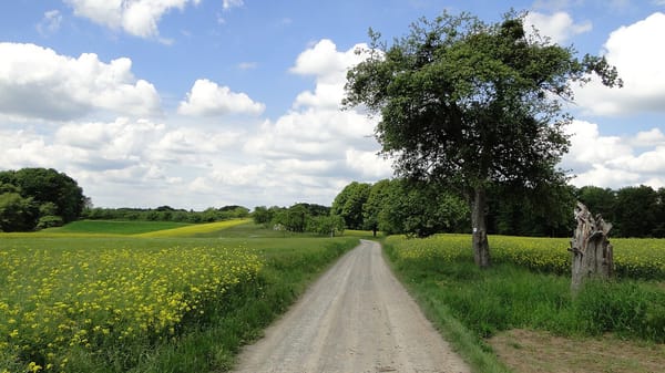 Leidersbach – Wikimedia Commons (Wikidata P18)
