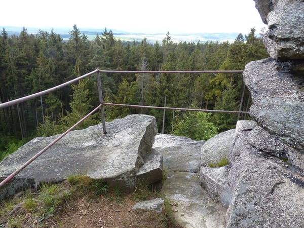 Martinlamitzer Forst-Nord – Wikimedia Commons (Wikidata P18)