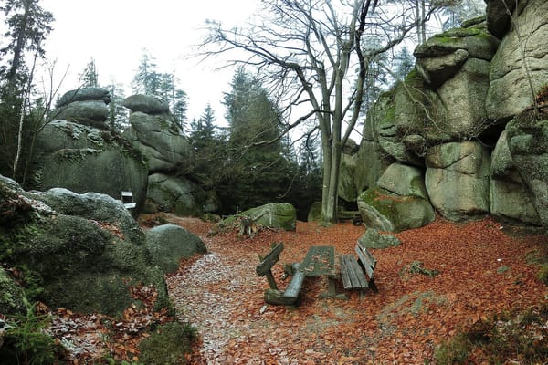 Neubauer Forst-Nord – Wikimedia Commons (Wikidata P18)