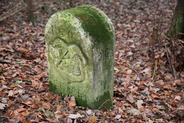 Neuensorger Forst – Wikimedia Commons (Wikidata P18)