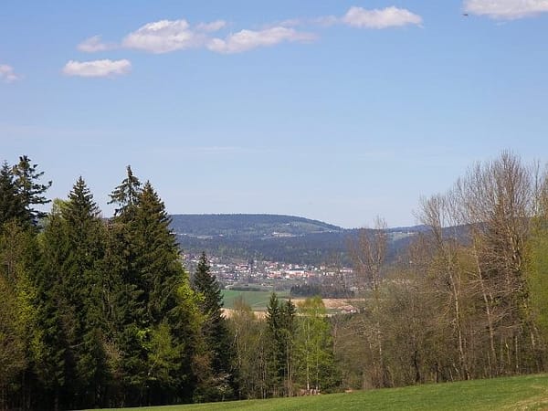 Neureichenau – Wikimedia Commons (Wikidata P18)