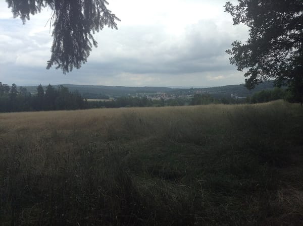 Pechbrunn – Wikimedia Commons (Wikidata P18)